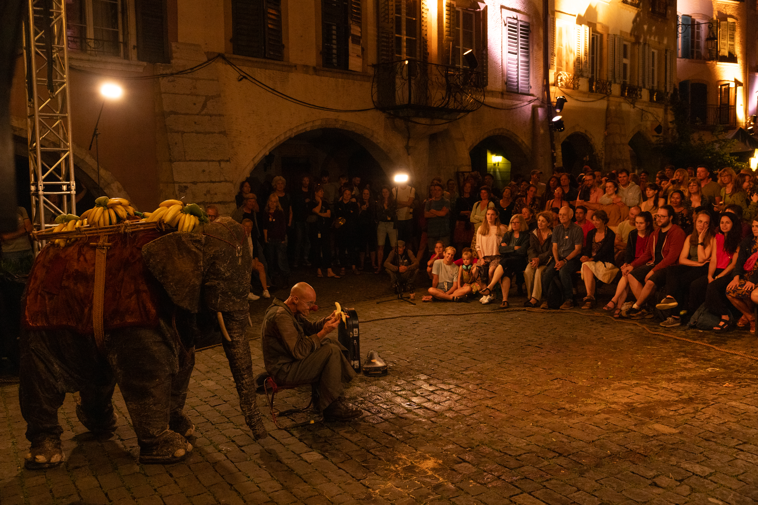 PasParTouTXX22BabyXElephantX22XAbend-6