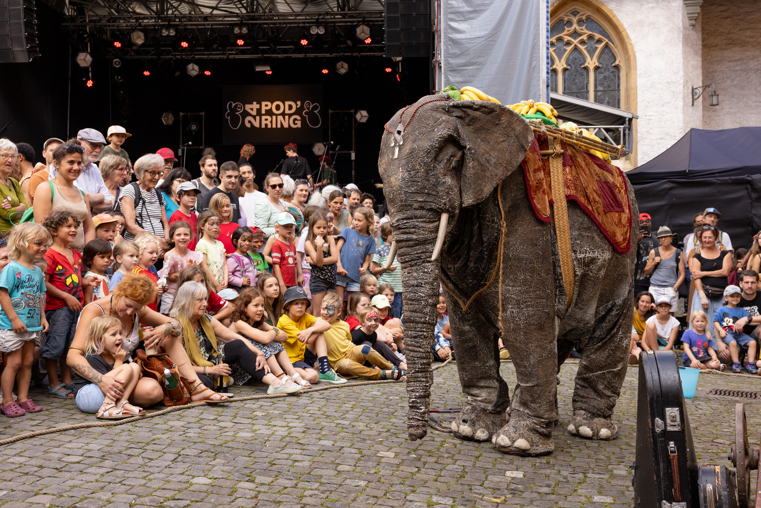 PasParTouTXX22BabyXElephantX22XNachmittag-4